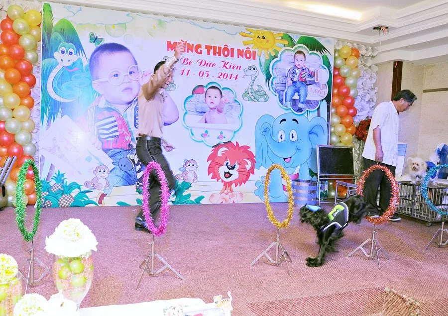 bieu-dien-xiec-cho-sinh-nhat-thoi-noi bieu dien xiec cho sinh nhat thoi noi