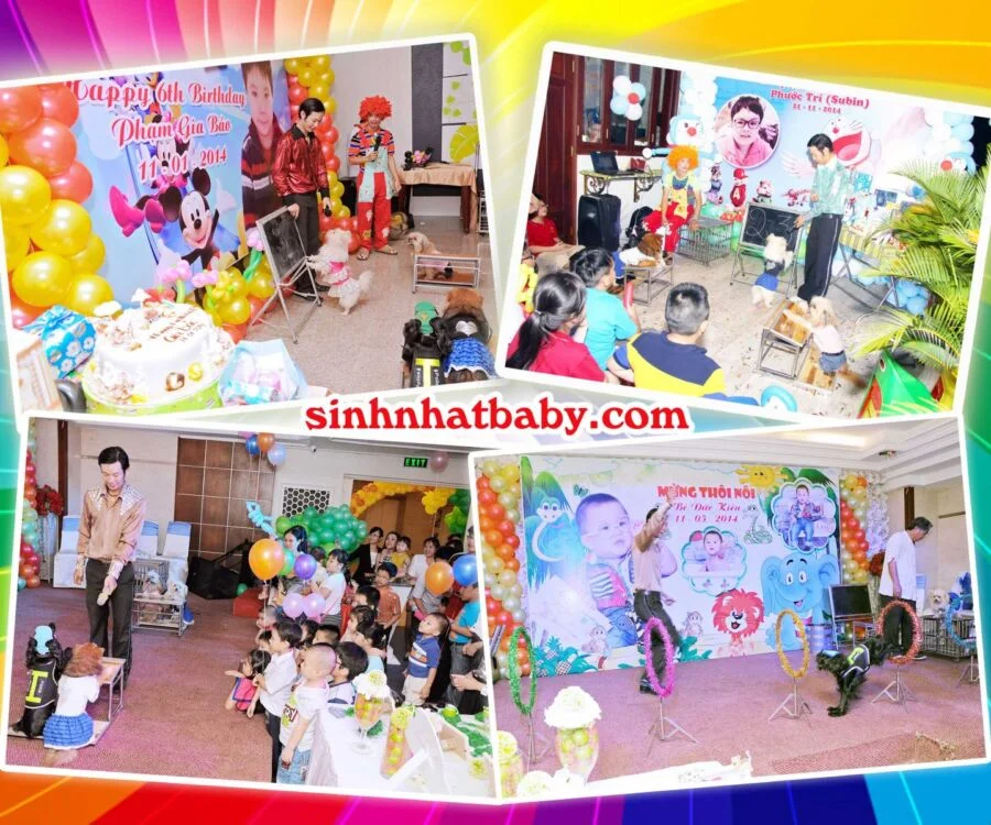 bieu-dien-xiec-cho biểu diễn xiếc chó