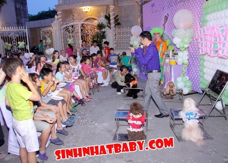 biểu diễn xiếc chó sinh nhật