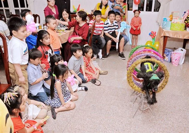 tiết mục xiếc chó