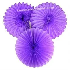 Hoa Rẻ Quạt màu tím