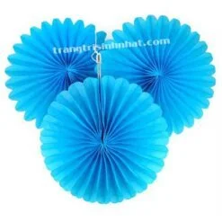 Hoa Rẻ Quạt màu xanh da trời