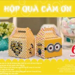 Hộp quà sinh nhật minion