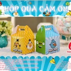Hộp quà sinh nhật Angri Birds