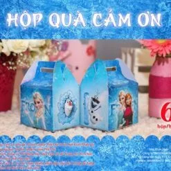 Hộp quà sinh nhật Frozen