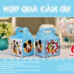 Hộp quà trang trí Mickey