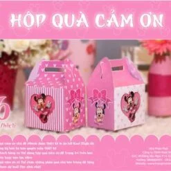 Hộp quà sinh nhật Minnie