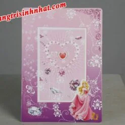 Khung Hình Sinh Nhật đặt bàn Công Chúa