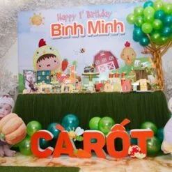 Tiệc sinh nhật sắc màu bé trai tuổi gà