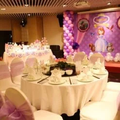 Trang trí thôi nôi cho bé gái chủ đề Sofia