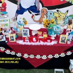 Trang trí sinh nhật trọn gói theo chủ đề POKEMON cho bé trai