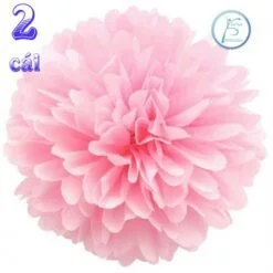 Tú Cầu Giấy màu hồng phấn