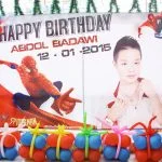 backdrop san khau sinh nhat spiderman