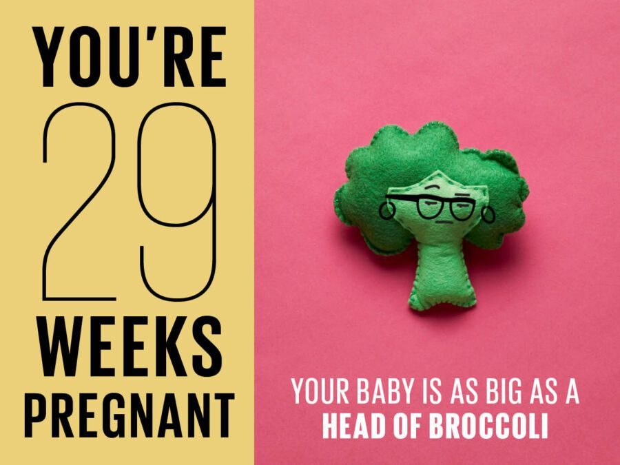 Mang thai 29 tuần biểu tượng bằng đầu bông cải xanh