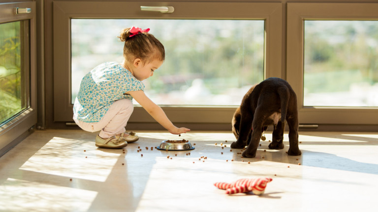 cô gái nhỏ giúp cho con chó của cô ấy ăn