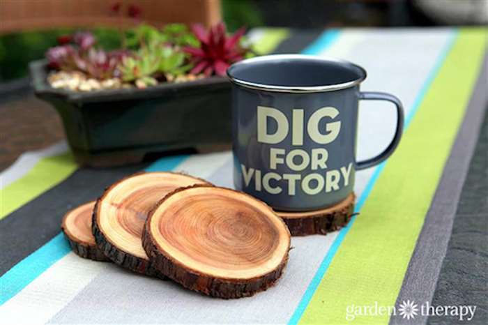 natural branch coasters