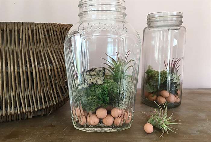 4th wedding anniversary air plant terrarium