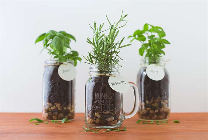 christmas gift ideas for friends herb garden.