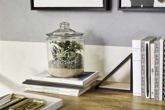 terrarium made from shutterfly