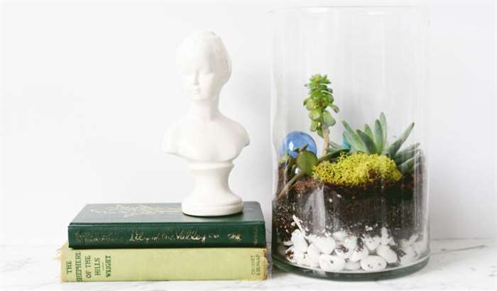 10th wedding anniversary gift ideas terrarium