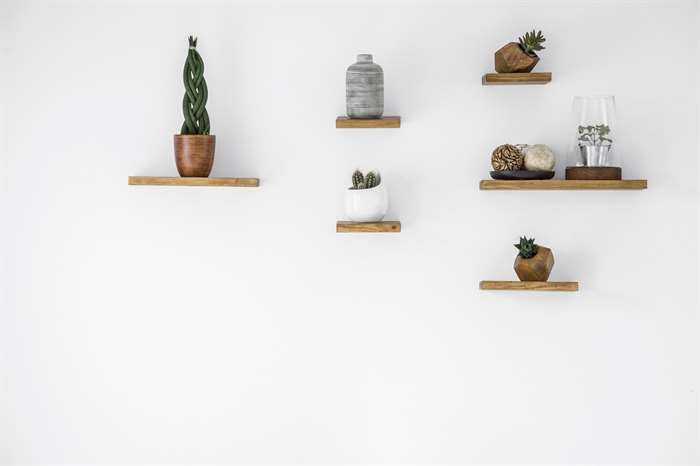 DIY plant shelves filled with cactus and succulents