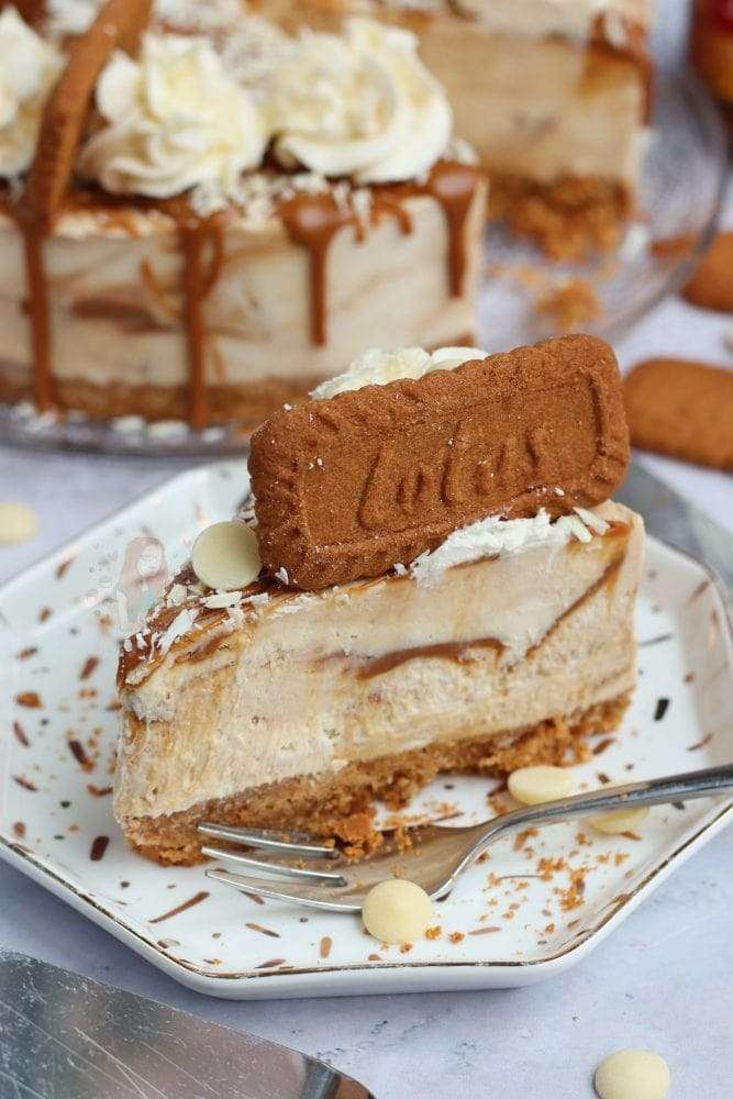 1639658513 576 So co la trang Biscoff Swirl Cheesecake