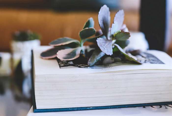 gifts for dad diy book garden 