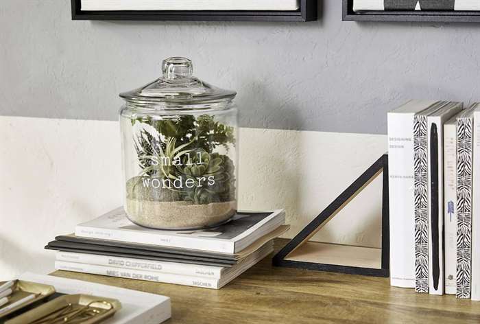 gifts for dad desk terrarium 