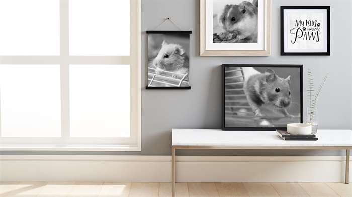 Hamster Art And Prints