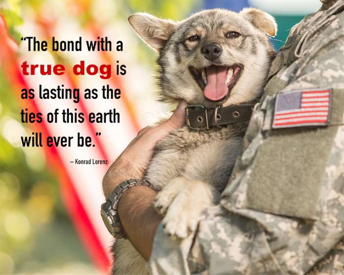 Dog Quotes Love And Loyalty with dog caption