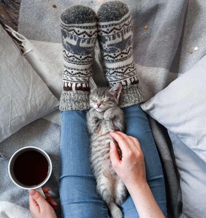 Một cô gái mặc tất dệt kim ngồi trên chăn, cầm trên tay tách cà phê và một chú mèo con.