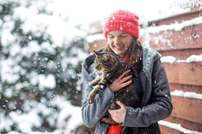 Cô gái vui vẻ với con mèo của mình ngoài trời vào một buổi chiều mùa đông đầy tuyết trong một khu vườn dân cư.