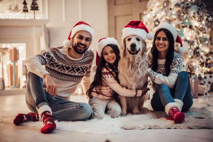 Gia đình hạnh phúc với chú chó săn lông xù labrador đang chờ đón năm mới trong chiếc mũ của ông già Noel khi ngồi gần cây thông Noel xinh đẹp ở nhà. 