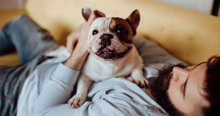 Man with dog laying down on couch