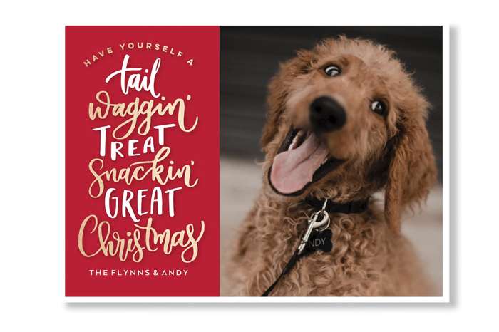 Một ý tưởng thiệp Giáng sinh dễ thương cho một gia đình có chó.