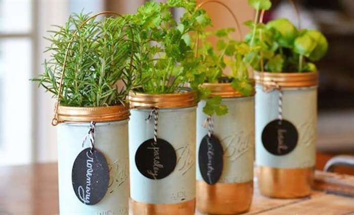 Painted Mason Jar Herb Garden Gift