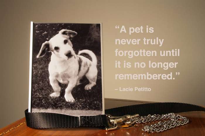 Một bức ảnh của con chó gia đình với những câu trích dẫn vật nuôi kỷ niệm.