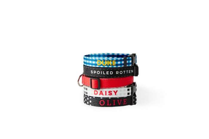 shutterfly pet collars