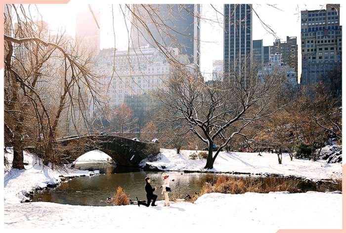 engagement in central park christmas engagement photo