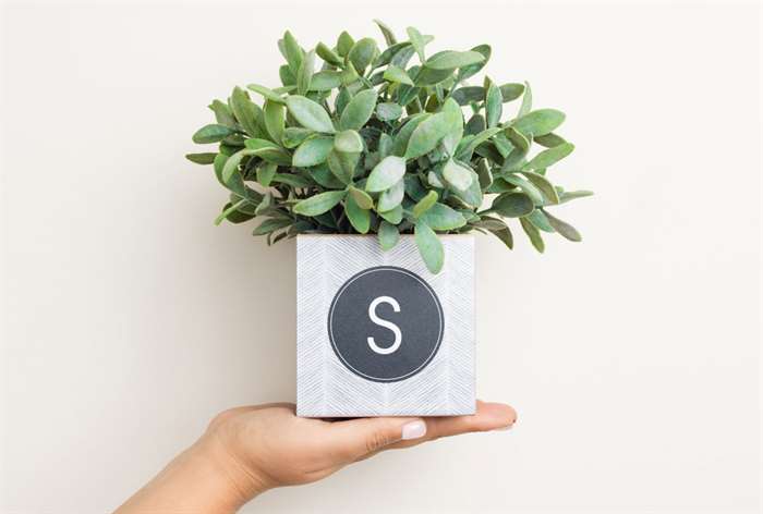 monogrammed planter