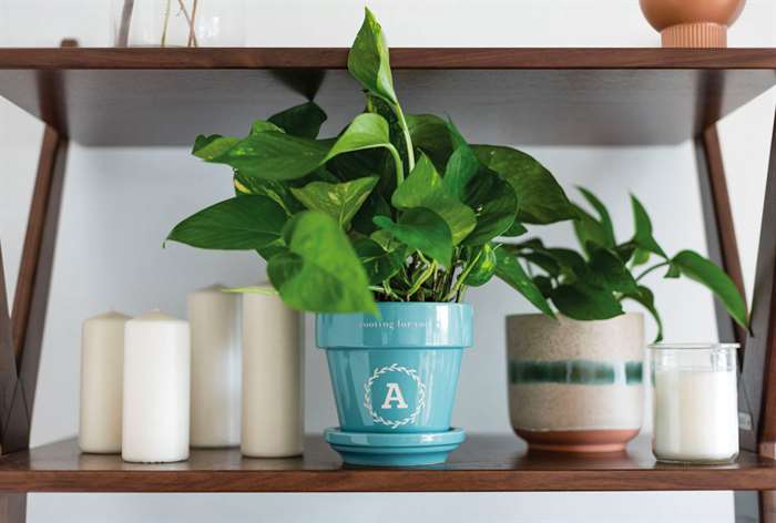 new mom gift ideas monogrammed flower pot