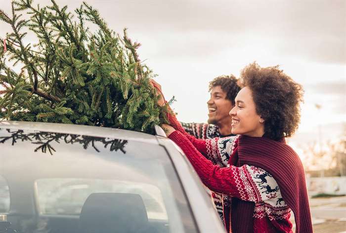 Cặp đôi buộc cây thông Noel lên nóc ô tô.