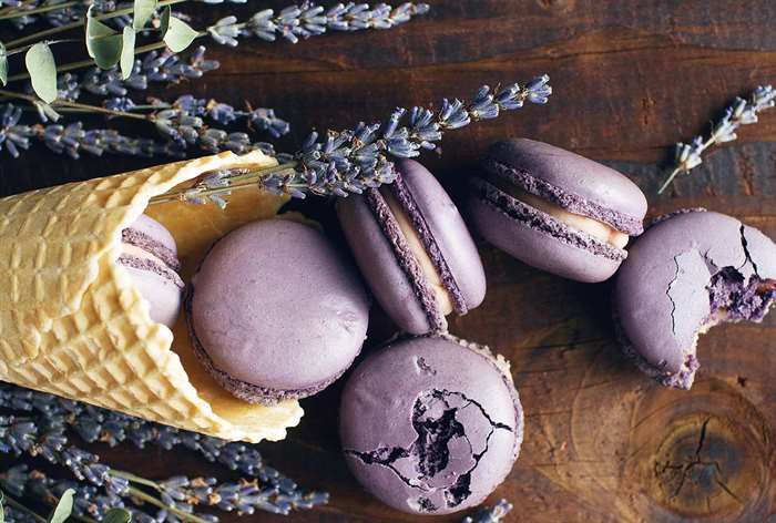 bánh macaron màu tím