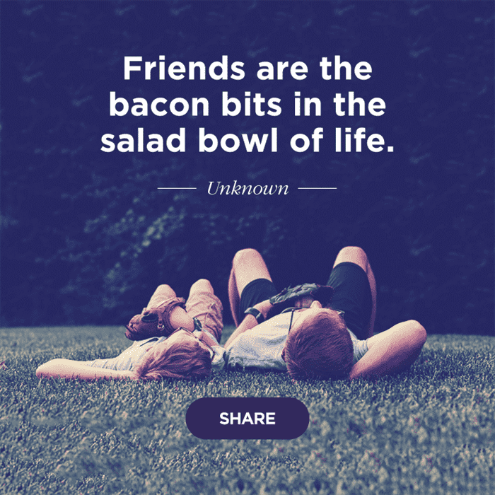 1639854489 304 200 Best Friend Quotes for the Perfect Bond