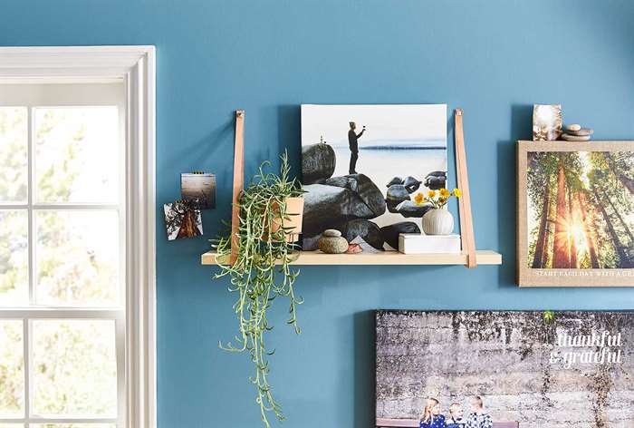 Shelf on blue wall with plant and canvas.