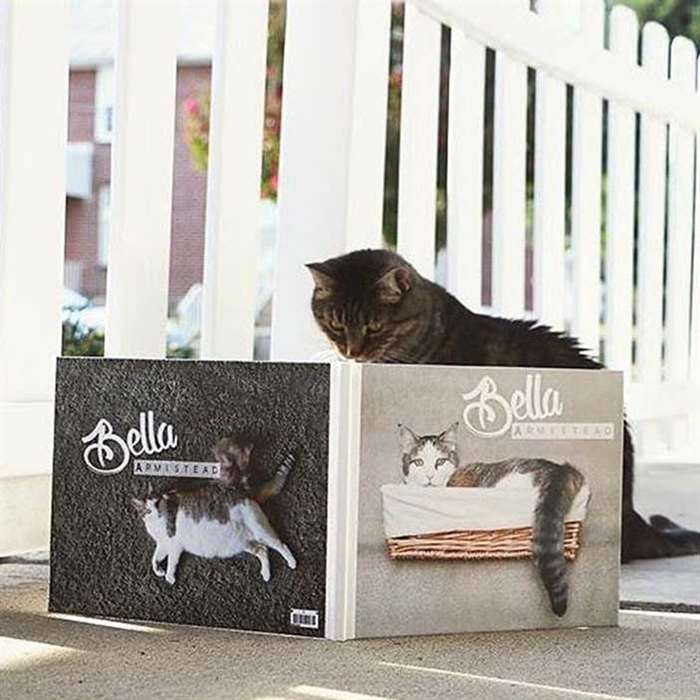 The Cat’s Meow photo book