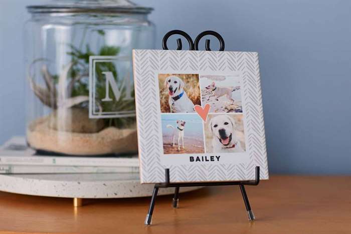 mothers day gift ideas dog lover desk photo