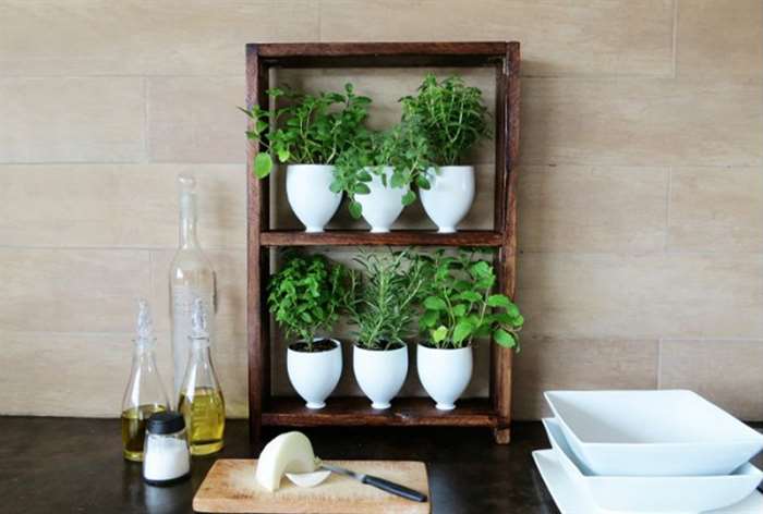 gifts for everyone kitchen herb garden