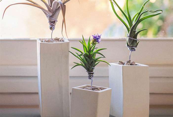 gifts for everyone ceramic airplant vessel