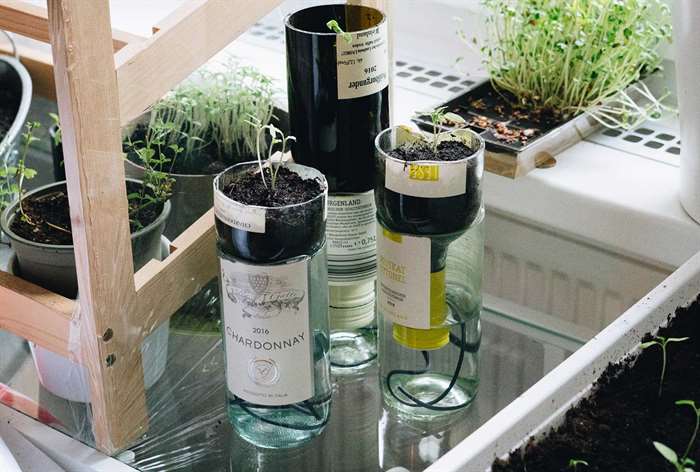 gifts for everyone self watering wine bottle planter